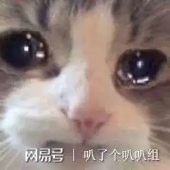 同是天涯沦落人,玩家分享jjc惨烈遭遇惹共鸣,网友走的很安详