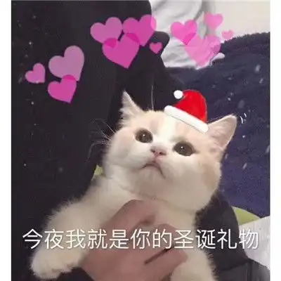 圣诞节抖音同款红帽子可爱表情包用心的喜欢和极致的偏爱我都想要