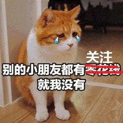 史上最强悍老太,外国老奶奶养两只狗熊一白虎,不走寻常路