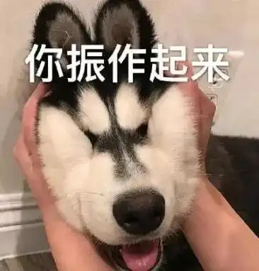 考研失利,英国来补救,还能上好学校吗