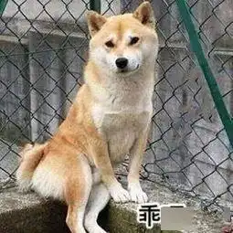 在男友面前唉声叹气他会是什么反应这一届男友们真是熟练得令人心疼啊