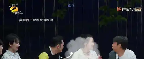 各大综艺都利用沙溢惨人设,跑男却被网友们吐槽,向往出新表情包