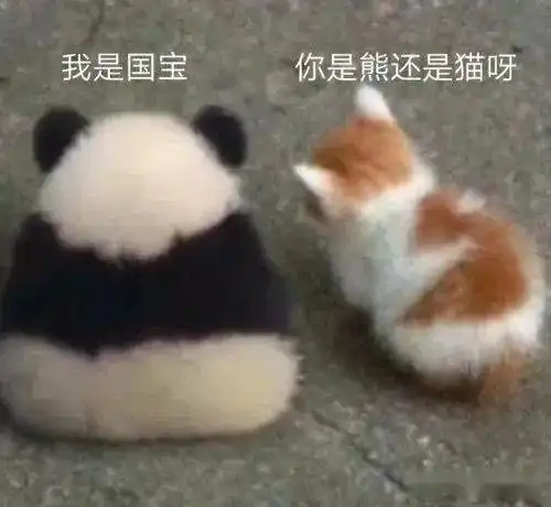 经管特辑丨中国人有多喜欢大熊猫
