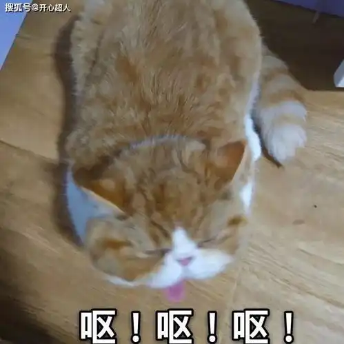 开心一笑女朋友怀孕了.我当时就怒了,看着手里的不孕不育报告,我再也忍