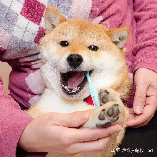 叔叔阿姨,我上的真不是野鸡大学啊别被校名坑了...