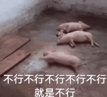 抖音表情包i要做一个干干净净的女孩子
