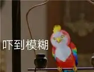 楚乔传苍梧鸟表情包高清图片精选带字版下载
