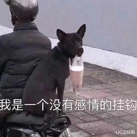 男子半夜行窃,偷得现金被大风吹走