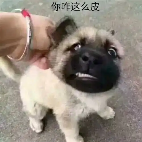蛋子抽筋上去了