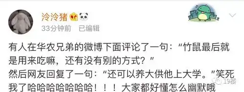 我没有内伤没有中暑没有忧郁这只竹鼠承包了我一天的笑点
