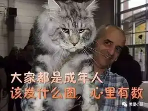 表情包,前景辽阔的掘金库