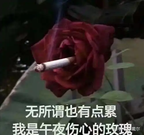 如何评价秦昊李沁主演的锦绣南歌