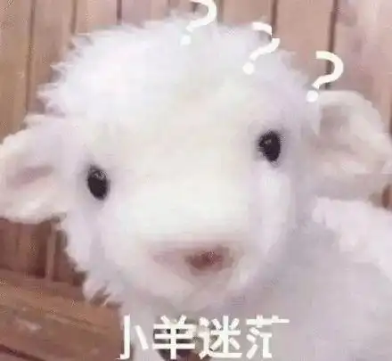 取名字能有多草率最后一个笑出猪叫