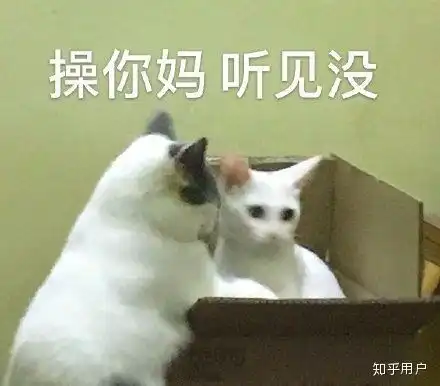 你认为最沙雕最搞笑的表情包是那些