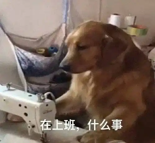 换粮后便便很奇怪