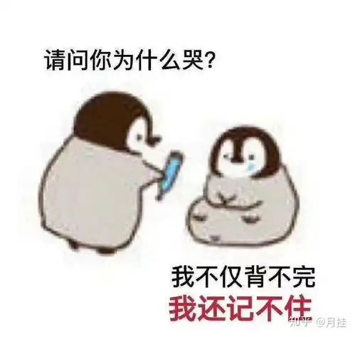 三个月考研2020广东外语外贸大学心理学考研经验分享