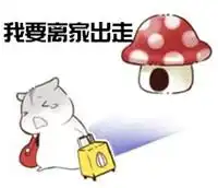 hamham仓鼠表情包老公老婆全套仓鼠情侣专用表情包最新