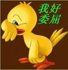 仅凭一张图就判断出女儿怀孕有一种代沟叫爸妈看不懂我的表情包