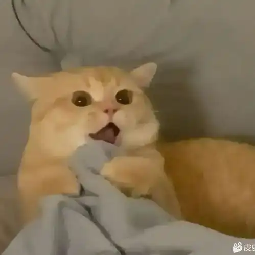 通关后,你如何评价黑神话悟空