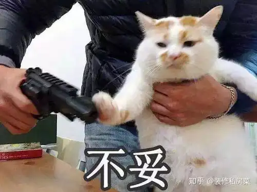 浴缸玻璃浴房浴帘卫生间淋浴区选择方案