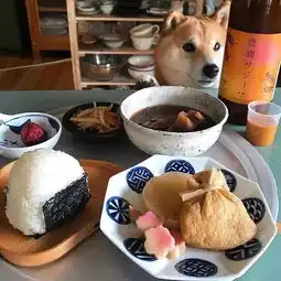 最惨柴犬爆红ins一个人生活最好的模样养只狗狗陪吃陪喝,太幸福了