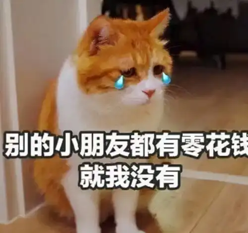 大学生花式讨要生活费小螃蟹没钳了,最后父母的回复亮了
