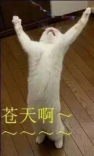 又有台风来了,有可能成超强台风又会影响温州吗