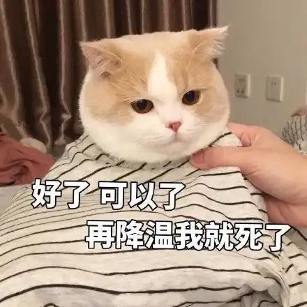 来吧不要因为我是娇花而怜惜我好玩的装逼动图装逼老司机好玩表情