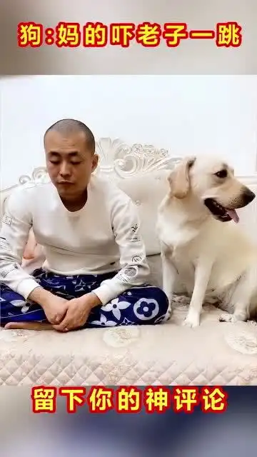 笑死人不偿命狗妈的吓老子一跳