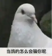 拯救文荒的姐妹们纯爱推文