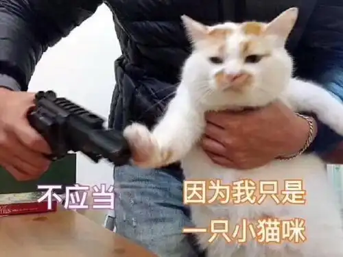 时隔4年的更新口