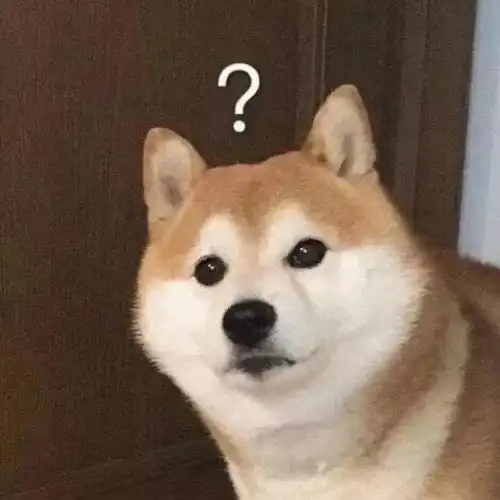 抖音热门表情包丨去干饭表情包大全