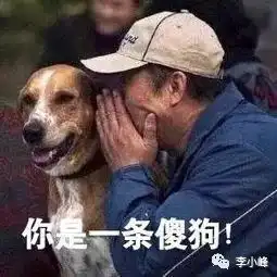 段子懂王跳河