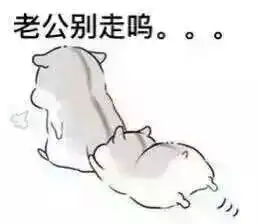 可爱仓鼠夫妇表情包