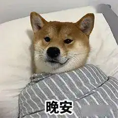 一波柴犬表情包,拿好不谢