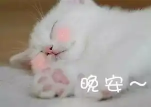 表情包小萌猫