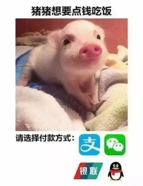 大学生用表情包讨生活费,明示暗示套路满满,家长我看不见