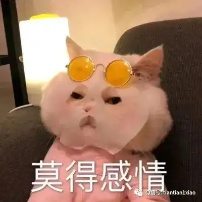 爆笑胖妹搞笑冷笑话,糗事买单搞笑笑话