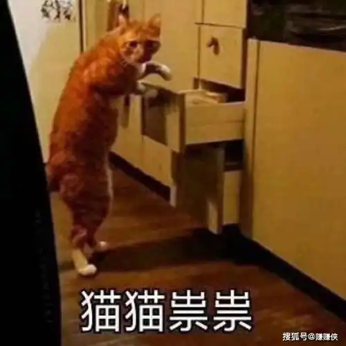 热门表情包图片带我吃鸡好吗