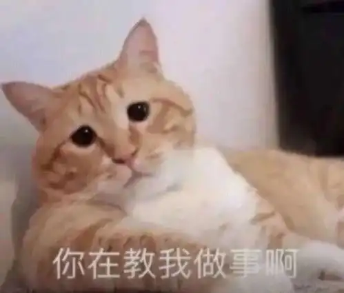表情包冬天就是好穷的时候还有西北风喝