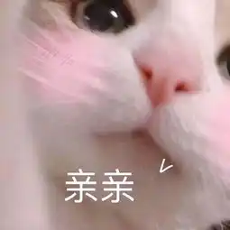 近我者甜呀黑猫单曲网易云音乐