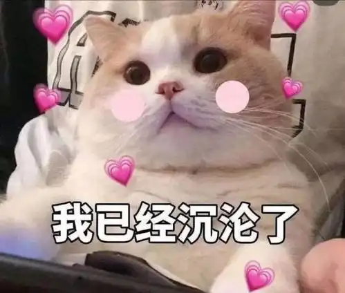 看到珠宝在猫咪头上,突然理解了古埃及人对猫咪的崇拜