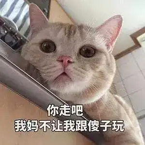 不给猫咪做绝育,你凭什么说爱它
