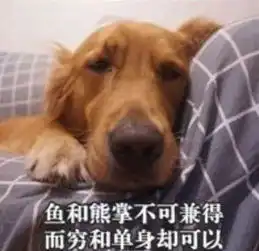 双11上海假发套成交数全国第一,你为千亿项目贡献了多少
