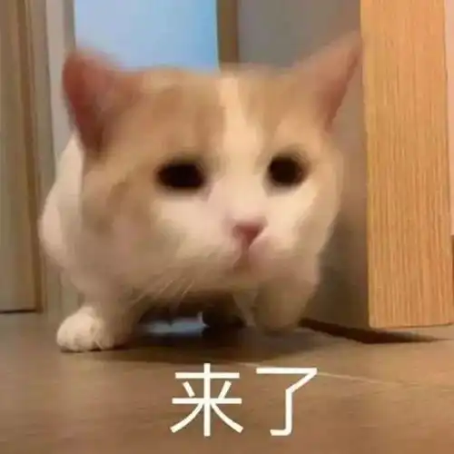 新倩女幽魂雷蛇次世代购机福利来袭,让你享受更丝滑的三界