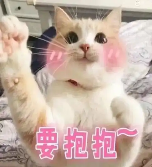 猫图第三波表情包自取