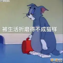 对金钱的渴望表情包图片小脾气上头表情包猫下载乐游网游戏下载