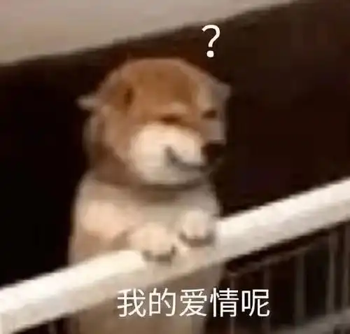 我为青年办实事2022年第十一期青年线上交友公益活动马上开始啦