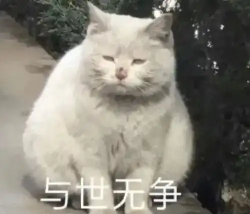 到底有多少年轻人,下了班在朋友圈舞动奇迹