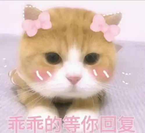 有什么套路女朋友的表情包